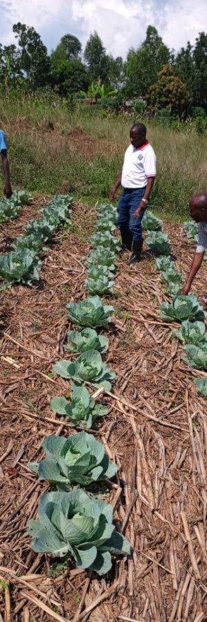 Screenshot 2026-01-25 at 17.13.27