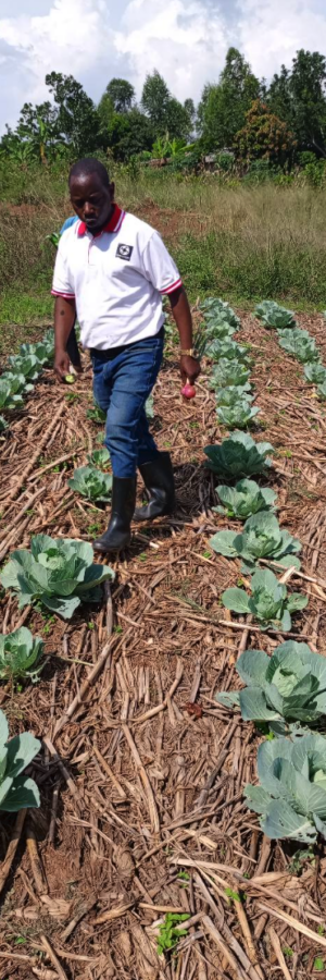 Screenshot 2026-01-25 at 17.13.36